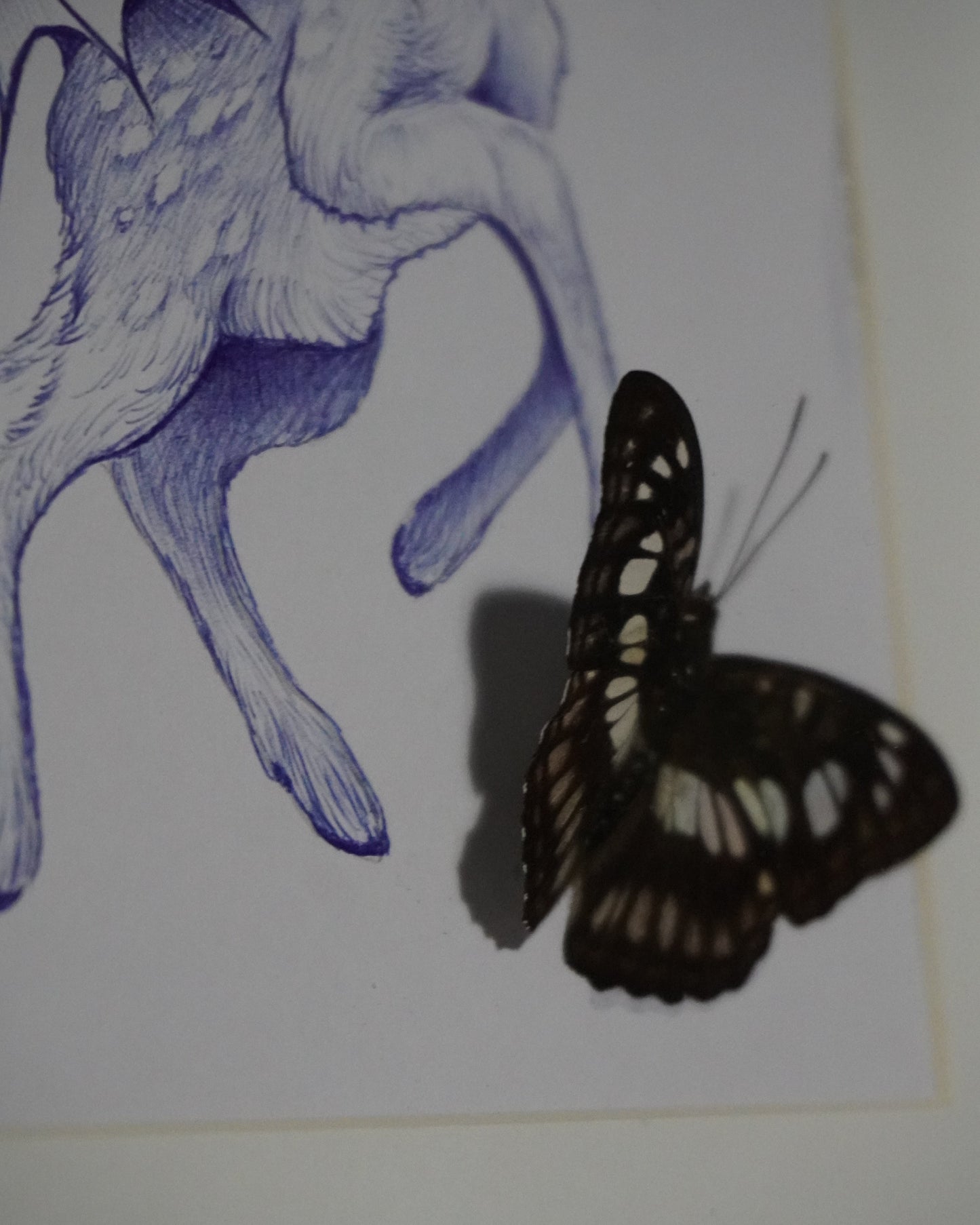 'Beauty in butterfly's' - Original by Sian Davies (2025)