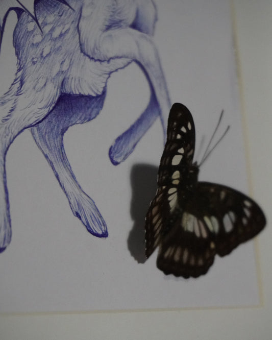 'Beauty in butterfly's' - Original by Sian Davies (2025)