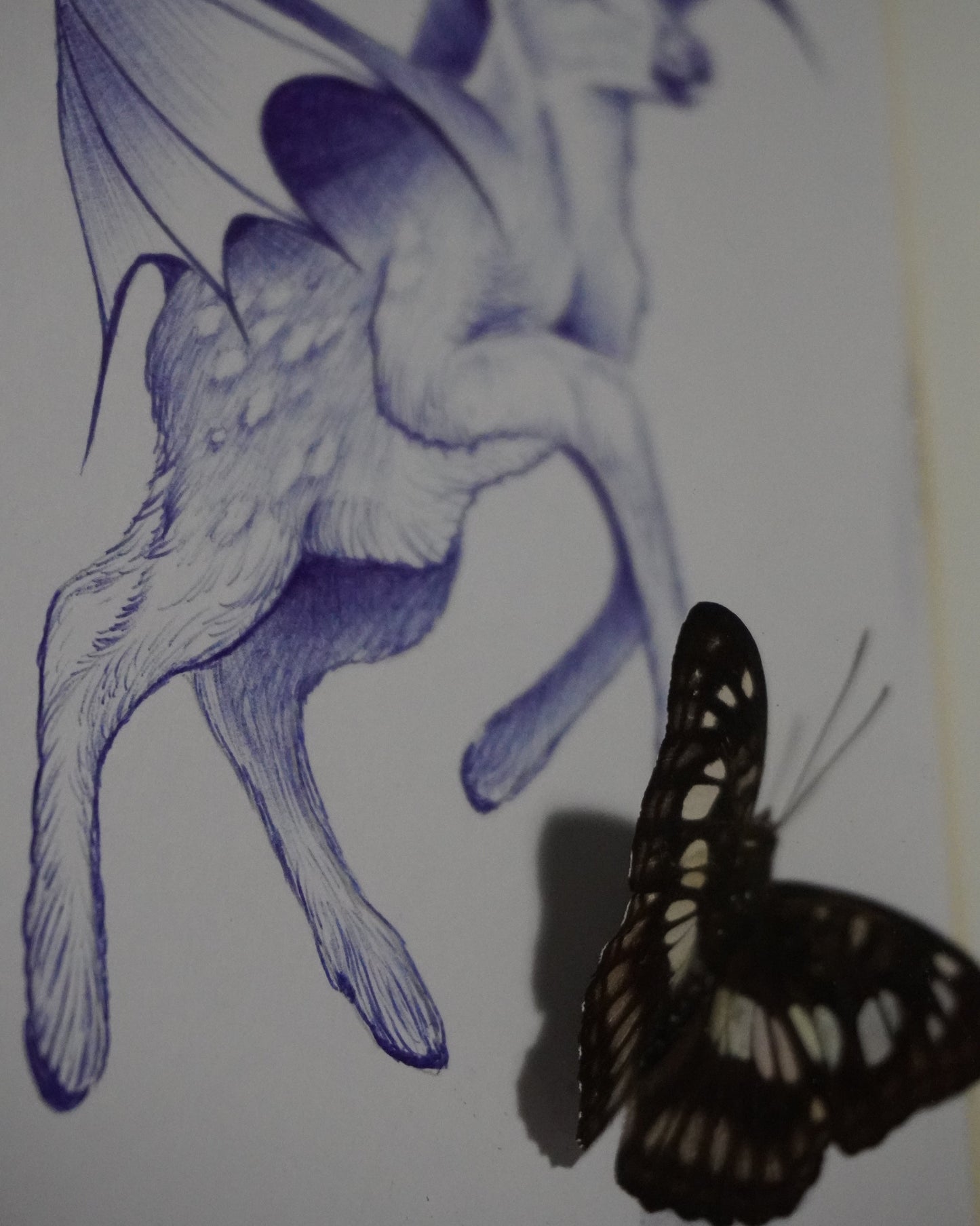 'Beauty in butterfly's' - Original by Sian Davies (2025)