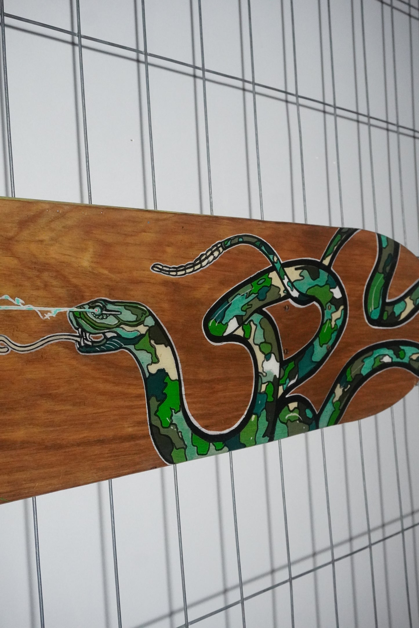 'Snaker' - Original by Mateo Camelo (2025)